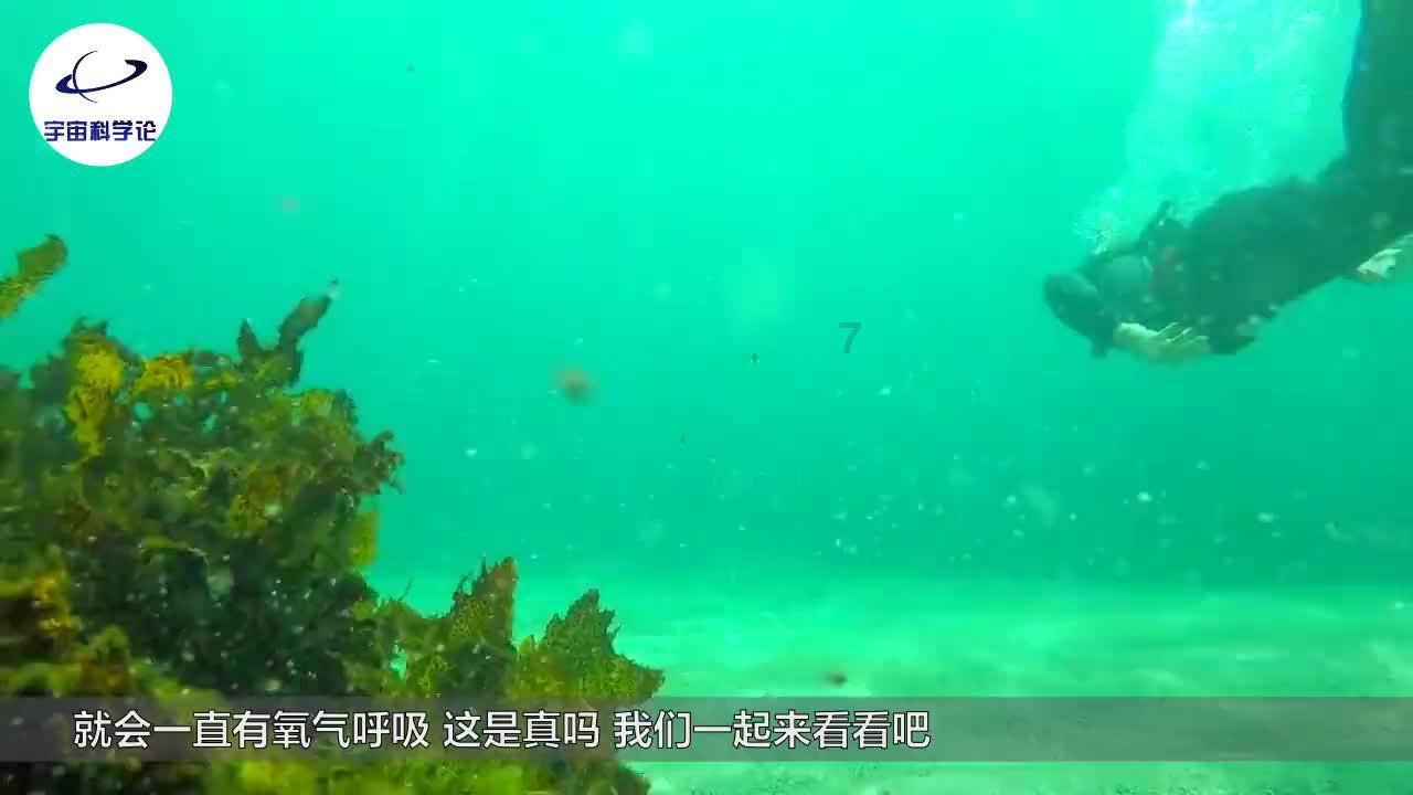 逃离比利部落小屋